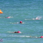 Bermuda National Open Water Championships, September 25 2016-4