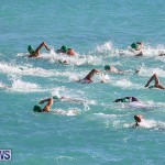 Bermuda National Open Water Championships, September 25 2016-57