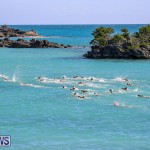 Bermuda National Open Water Championships, September 25 2016-59