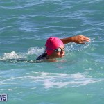 Bermuda National Open Water Championships, September 25 2016-6