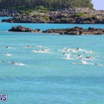 Bermuda National Open Water Championships, September 25 2016-66