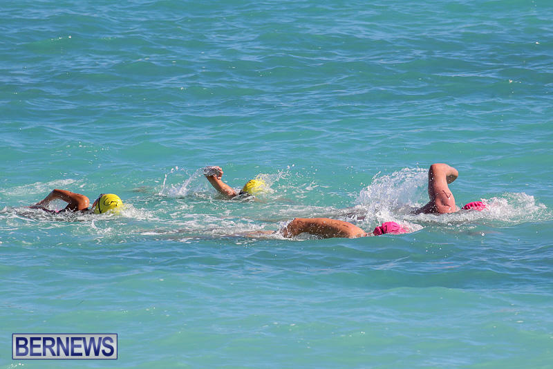 Bermuda-National-Open-Water-Championships-September-25-2016-81