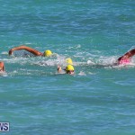 Bermuda National Open Water Championships, September 25 2016-86