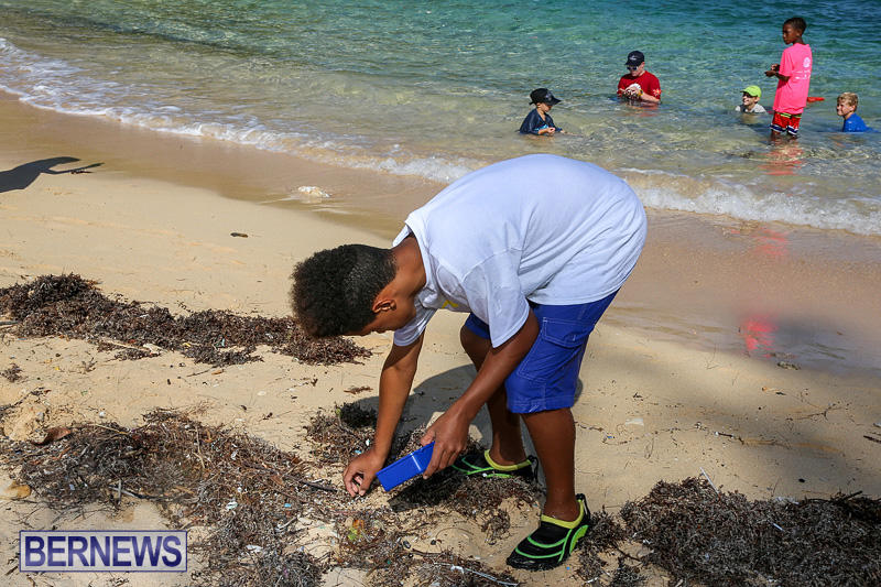 EY-Coastal-Clean-Up-Bermuda-September-17-2016-12