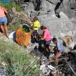 EY Coastal Clean-Up Bermuda, September 17 2016-24