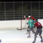 Inline Ball Hockey Bermuda August 31 2016 18
