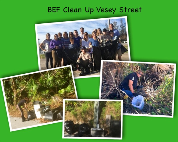 BEF Clean Up Vesey Street Bermuda October 2016