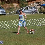 Bermuda Kennel Club Dog Show, October 23 2016-37