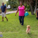 Blessing Of The Animals Bermuda, October 2 2016-21
