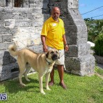 Blessing Of The Animals Bermuda, October 2 2016-34