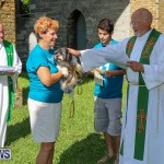 Blessing Of The Animals Bermuda, October 2 2016-37