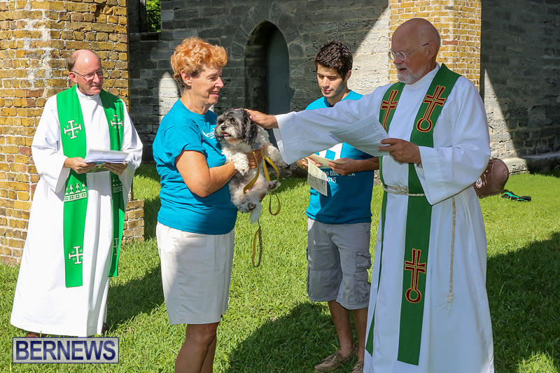 Blessing-Of-The-Animals-Bermuda-October-2-2016-37