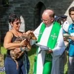 Blessing Of The Animals Bermuda, October 2 2016-38