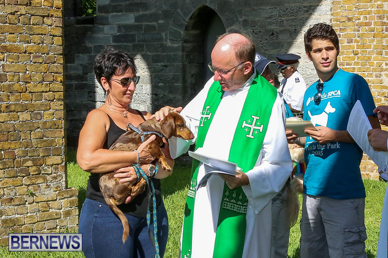 Blessing-Of-The-Animals-Bermuda-October-2-2016-38