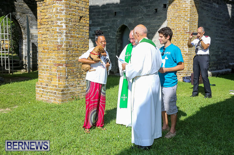Blessing-Of-The-Animals-Bermuda-October-2-2016-42