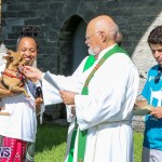 Blessing Of The Animals Bermuda, October 2 2016-43