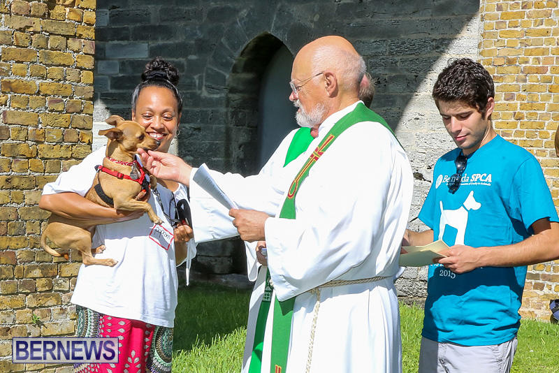 Blessing-Of-The-Animals-Bermuda-October-2-2016-43