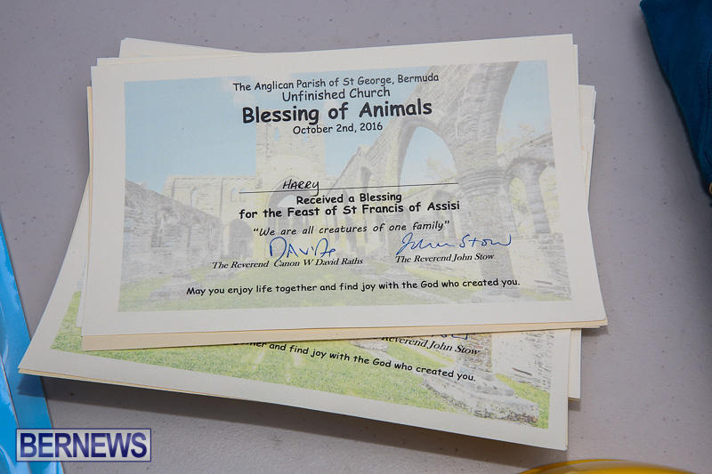 Blessing-Of-The-Animals-Bermuda-October-2-2016-5
