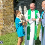 Blessing Of The Animals Bermuda, October 2 2016-50