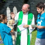 Blessing Of The Animals Bermuda, October 2 2016-52