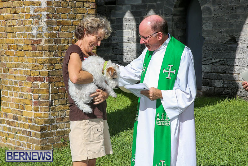 Blessing-Of-The-Animals-Bermuda-October-2-2016-60