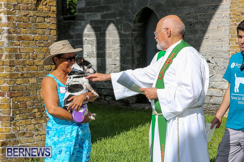 Blessing-Of-The-Animals-Bermuda-October-2-2016-63