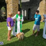 Blessing Of The Animals Bermuda, October 2 2016-65