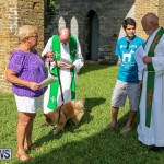 Blessing Of The Animals Bermuda, October 2 2016-67