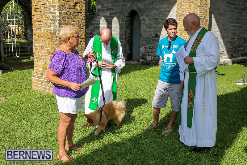 Blessing-Of-The-Animals-Bermuda-October-2-2016-67