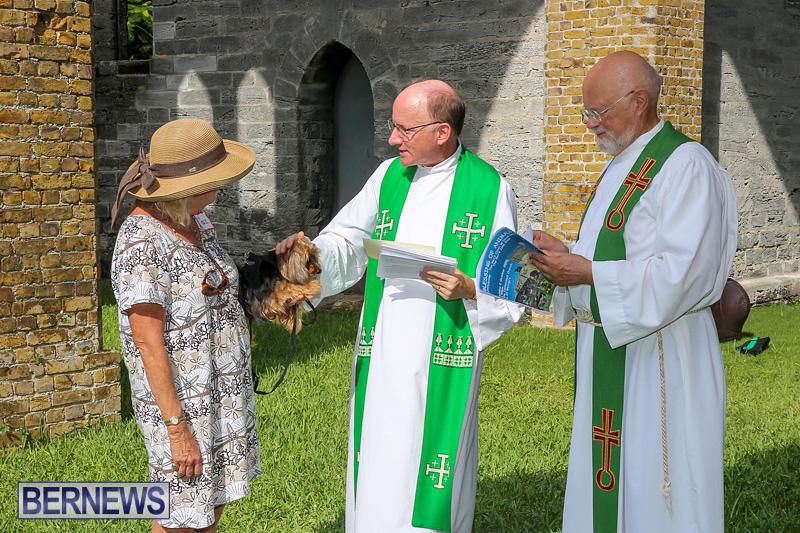 Blessing-Of-The-Animals-Bermuda-October-2-2016-72