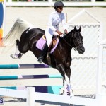 Equestrian Bermuda October 2016 (12)