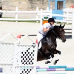Equestrian Bermuda October 2016 (9)