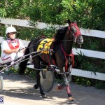 Harness Pony Racing Bermuda Oct 9 2016 (3)