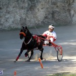 Harness Pony Racing Bermuda Oct 9 2016 (6)