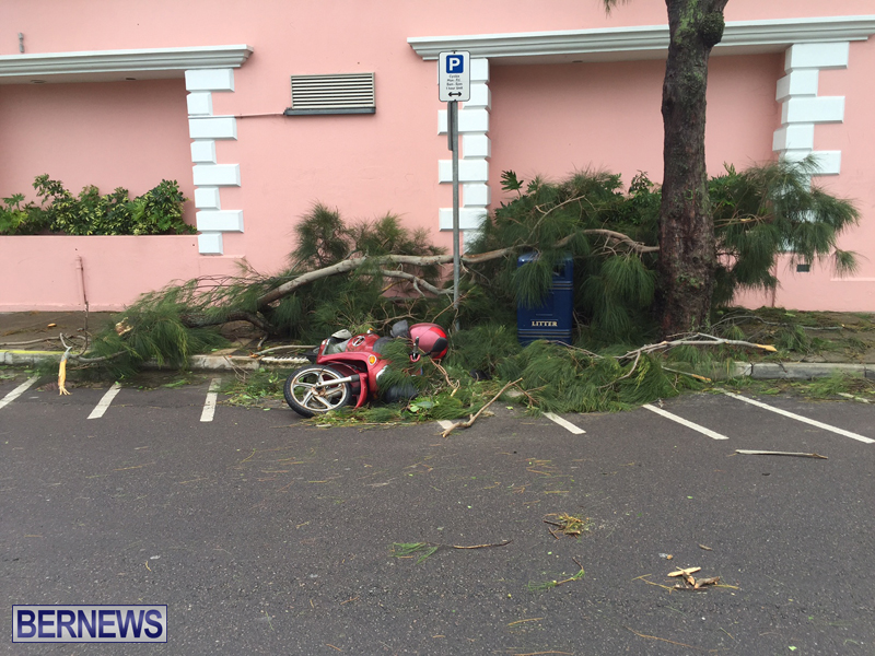 Post-Hurricane-Nicole-Oct-13-2016-201