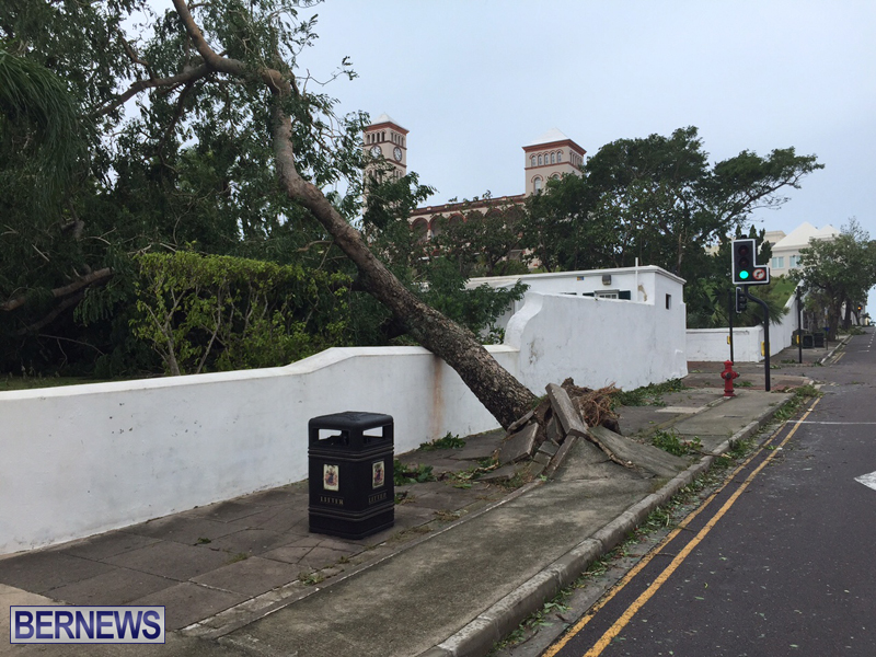 Post-Hurricane-Nicole-Oct-13-2016-212