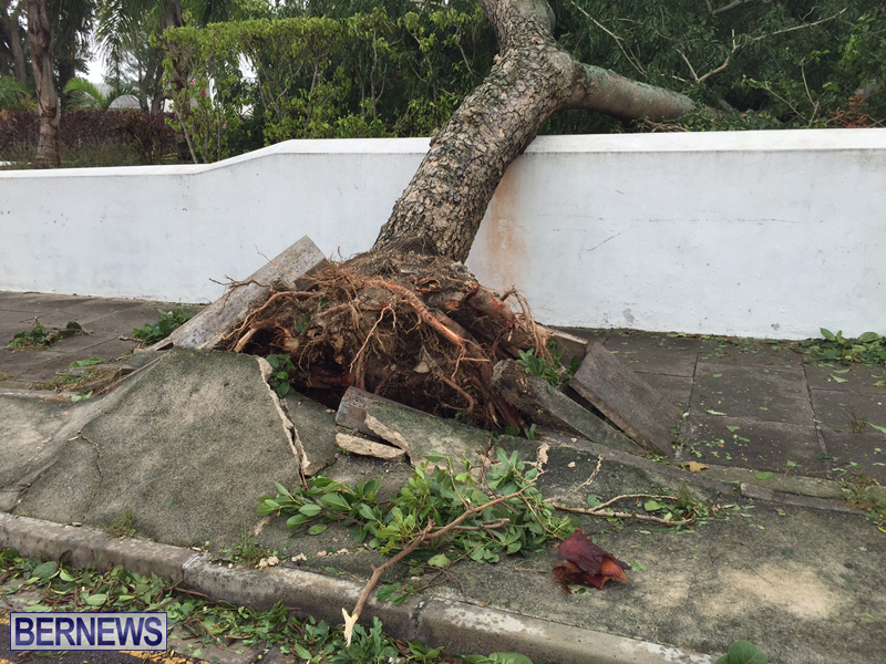 Post-Hurricane-Nicole-Oct-13-2016-221