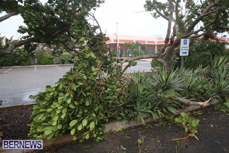 Post-Hurricane-Nicole-Oct-13-2016-241