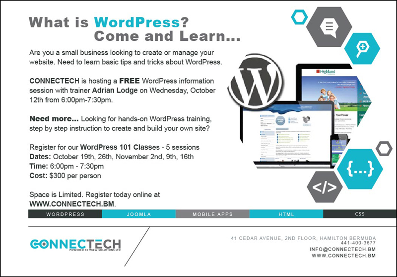 WordPress Flyer 1