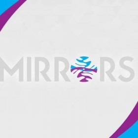 mirrors generic 2we2143