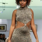 Desiree Riley Bermuda Fashion Collective, November 3 2016-68