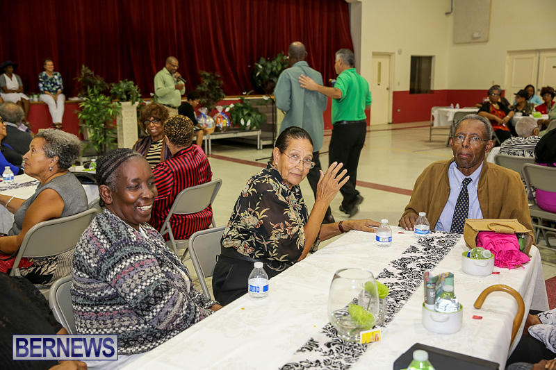 PLP-Constituency-29-Seniors-Tea-Zane-DeSilva-Bermuda-November-20-2016-11