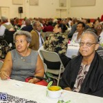PLP Constituency 29 Seniors Tea Zane DeSilva Bermuda, November 20 2016 (17)