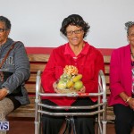 PLP Constituency 29 Seniors Tea Zane DeSilva Bermuda, November 20 2016 (49)