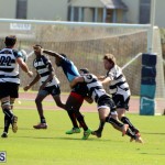 Renegades Founders Day Rugby Oct 30 2016 (1)