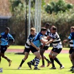 Renegades Founders Day Rugby Oct 30 2016 (2)