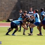 Renegades Founders Day Rugby Oct 30 2016 (7)