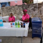 St Georges Old Town Market Bermuda, November 26 2016 (21)