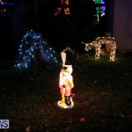 Botanical Gardens Christmas Lights Display Bermuda, December 23 2016 (16)