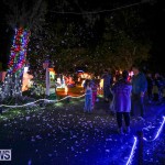 Botanical Gardens Christmas Lights Display Bermuda, December 23 2016 (2)